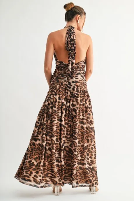 ED1755-LEOPARD